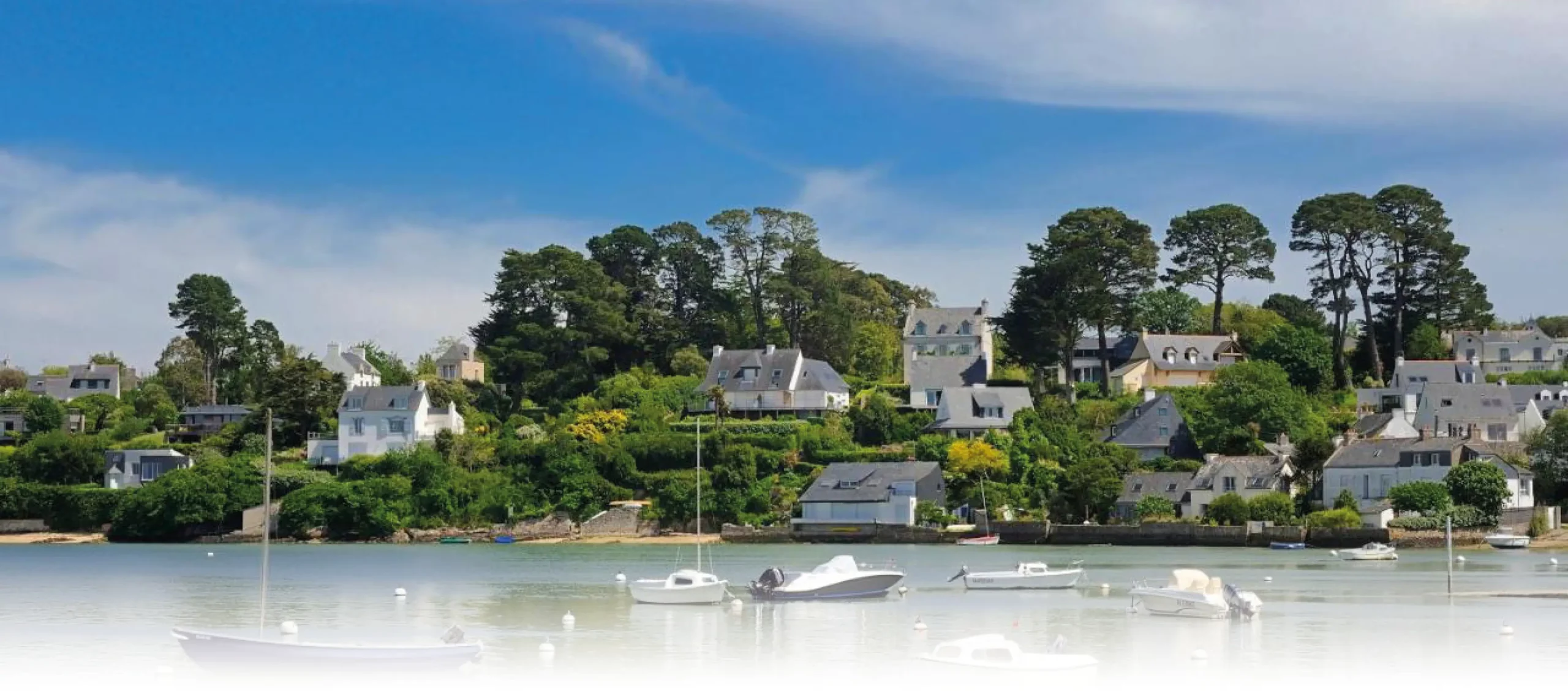 Header-carrousel-800-1